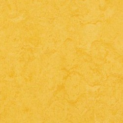 Мармолеум Forbo Real 3251 в Екатеринбурге
