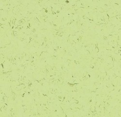 ПВХ плитка Forbo Allura Colour Pale green в Екатеринбурге