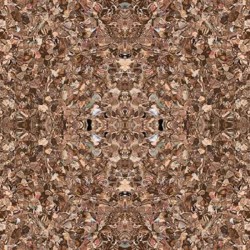 Линолеум Tarkett IQ Monolit Cmoni-913-200 в Екатеринбурге