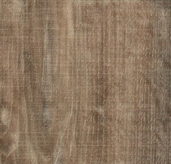 ПВХ плитка Forbo Allura Wood Natural raw timber в Екатеринбурге