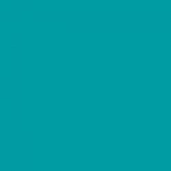 Линолеум Tarkett Omnisports REFERENCE Teal в Екатеринбурге