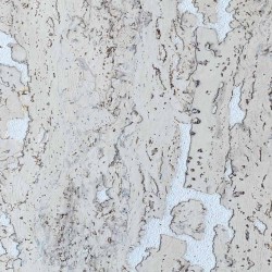 Пробка IberCork Малага Невада в Екатеринбурге