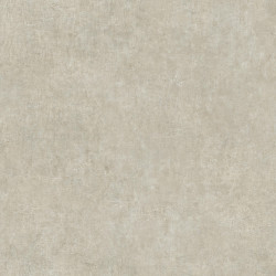 Линолеум Tarkett Acczent Pro CONCRETE 1 в Екатеринбурге