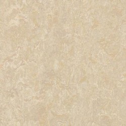 Мармолеум Forbo Real 2499 в Екатеринбурге