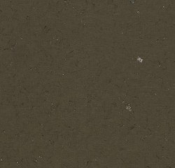 ПВХ плитка Forbo Allura Colour Olive black в Екатеринбурге