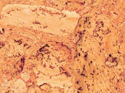 Пробка Wicanders Dekwall Tenerife Red в Екатеринбурге