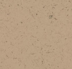 ПВХ плитка Forbo Allura Colour Cafe au lait в Екатеринбурге