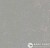 Мармолеум Forbo Marmoleum Concrete Purple haze в Екатеринбурге