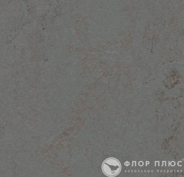 Мармолеум Forbo Marmoleum Concrete Comet