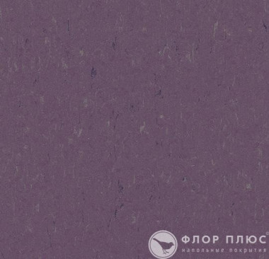Мармолеум Forbo Marmoleum Piano Thistle