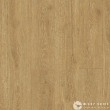 Ламинат Quick Step Majestic Дуб лесной массив натуральный