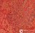 Мармолеум Forbo Marmoleum Vivace Fiery fantasy в Екатеринбурге