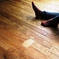Ламинат или паркет? Что выбрать.