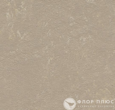 Мармолеум Forbo Marmoleum Concrete Fossil
