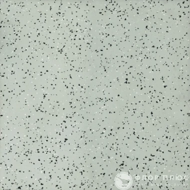 Линолеум Tarkett iQ ERA SC 805