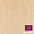 Линолеум Tarkett IQ Optima 3242829 в Екатеринбурге