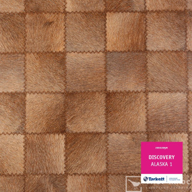 Линолеум Tarkett Discovery Аляска 1