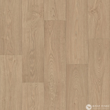 Линолеум Non Brend STIMUL CONSTANTA 2