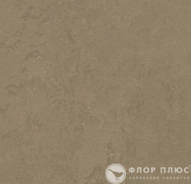 Мармолеум Forbo Marmoleum Concrete Silt