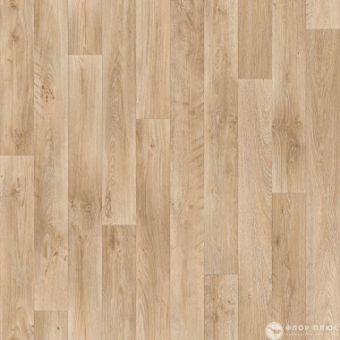 Линолеум Non Brend PRAKTIKA OTTO 2