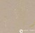 Мармолеум Forbo Marmoleum Concrete Phosphor glow в Екатеринбурге