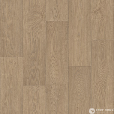 Линолеум Non Brend PRAKTIKA CONSTANTA 4