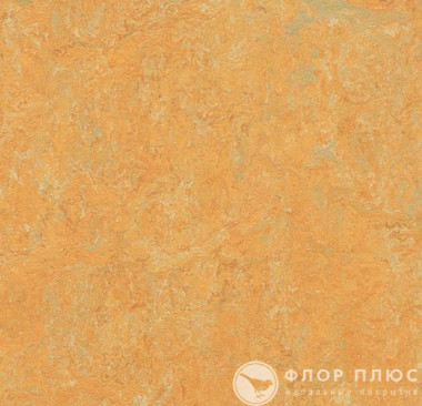 Мармолеум Forbo Marmoleum Fresco Golden saffron