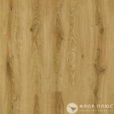 Ламинат Kastamonu SunFloor 8/33 4V Дуб Тринидад