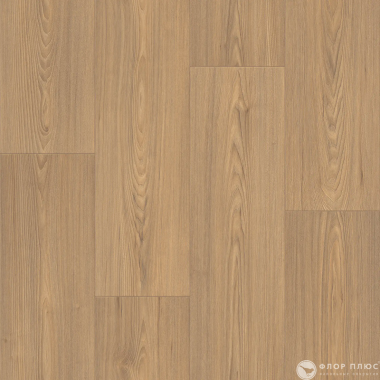 Линолеум Tarkett GLADIATOR ADILA 3