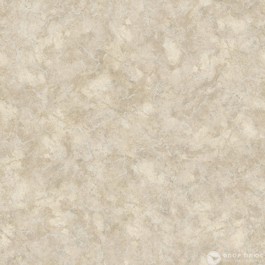 Линолеум Non Brend PRAKTIKA NUBIA 5