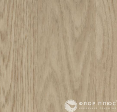 ПВХ плитка Forbo Allura Click Decibel Whitewash elegant oak